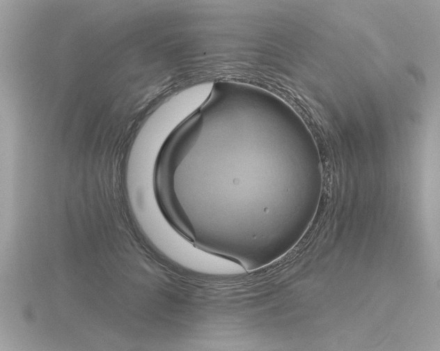 X0000116590704200912101539