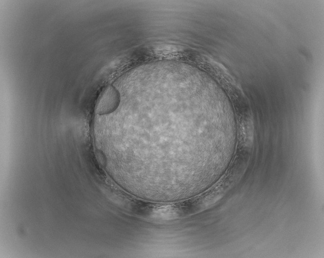 X0000116590705200912101539