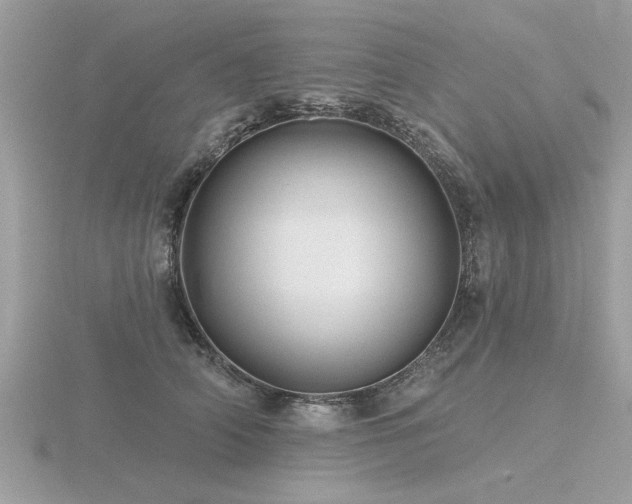 X0000116590706200912101539