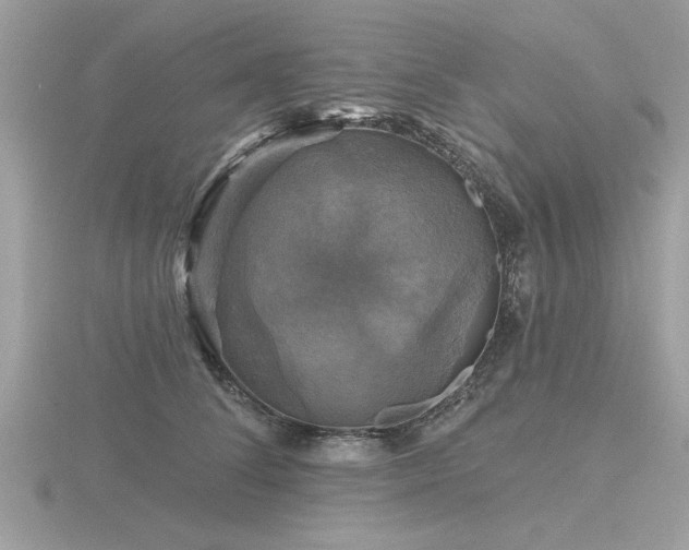 X0000116590708200912101539