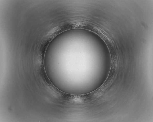 X0000116590710200912101539