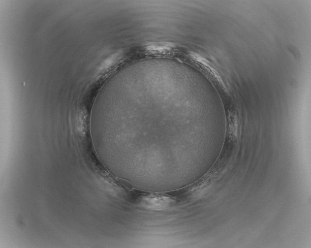 X0000116590712200912101539