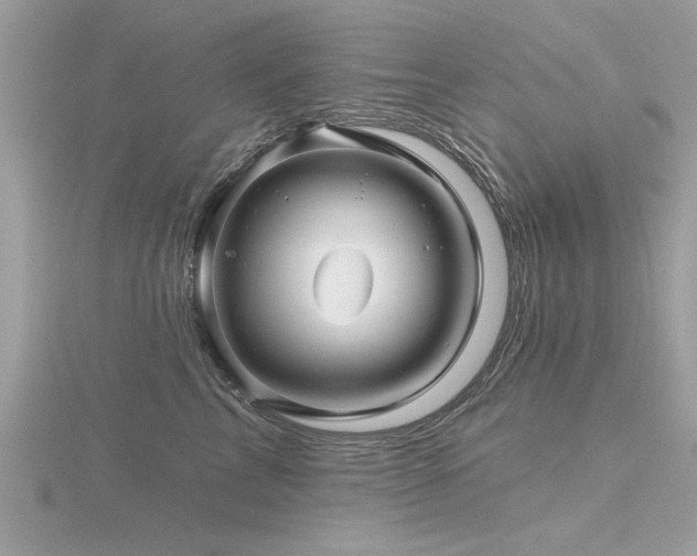 X0000116590713200912101539