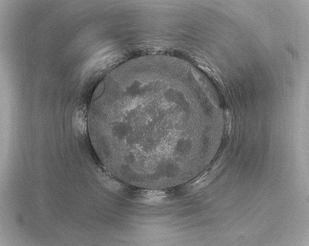 X0000116590719200912101539