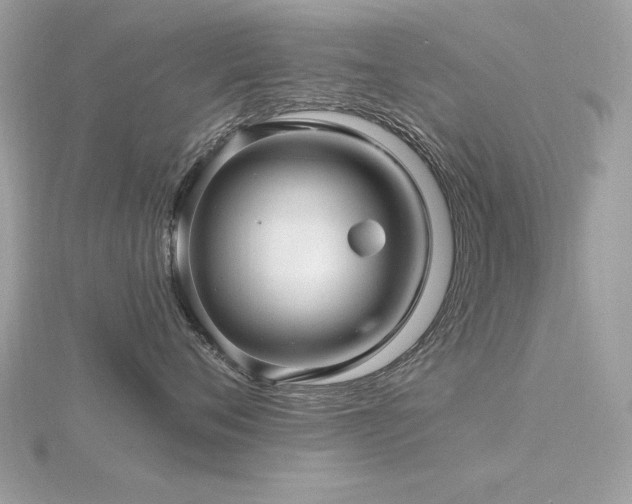 X0000116590720200912101539