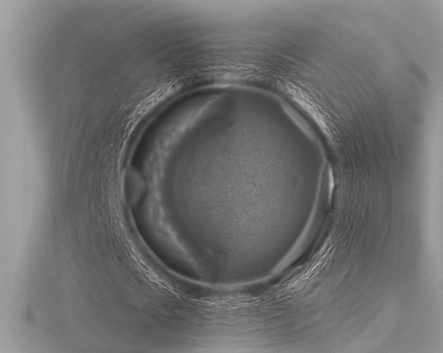 X0000116590721200912101538