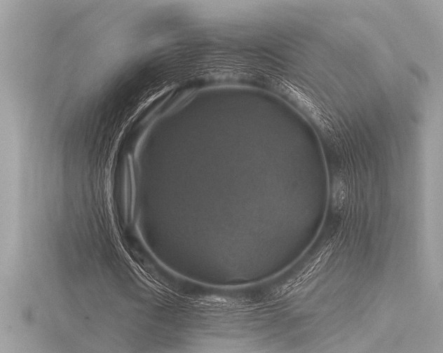 X0000116590722200912101538