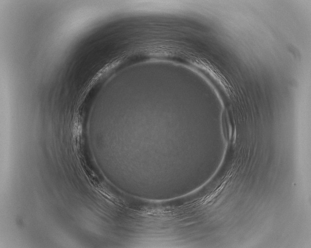 X0000116590723200912101538