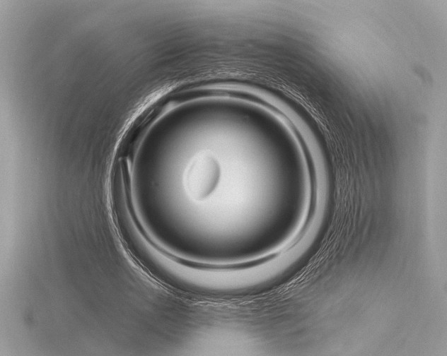 X0000116590726200912101539