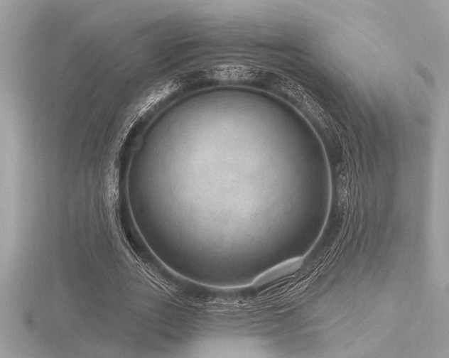 X0000116590727200912101539