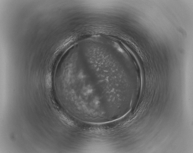 X0000116590729200912101539