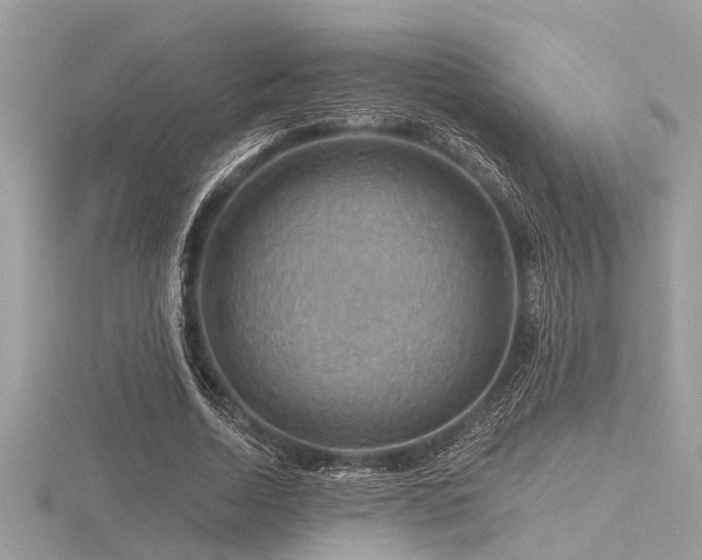 X0000116590730200912101539