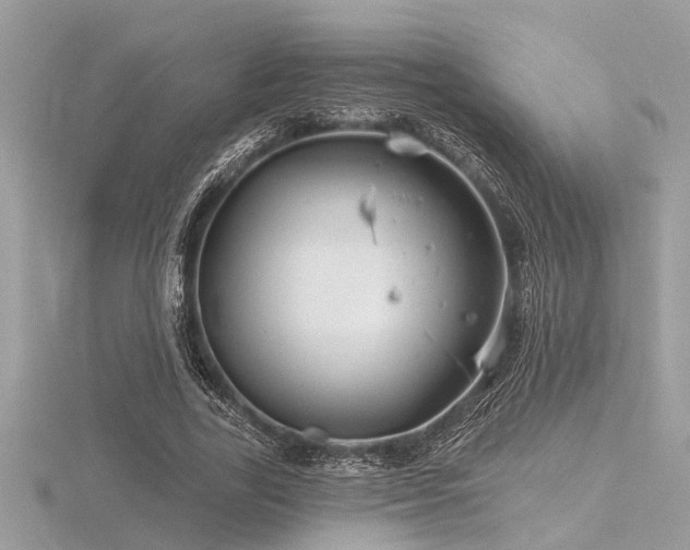 X0000116590731200912101539