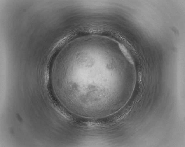 X0000116590733200912101539