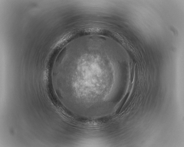 X0000116590735200912101539