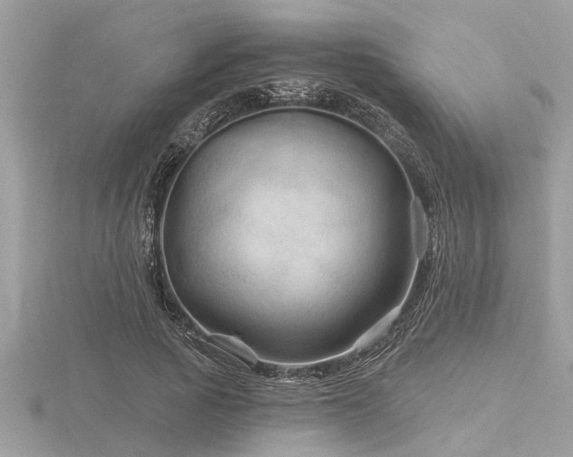 X0000116590737200912101539