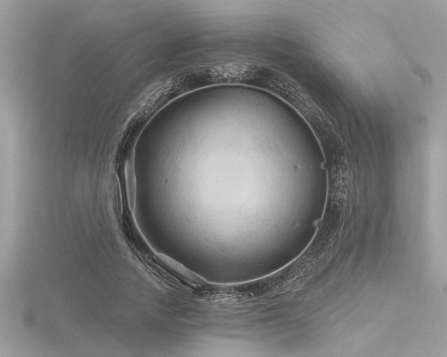 X0000116590738200912101539