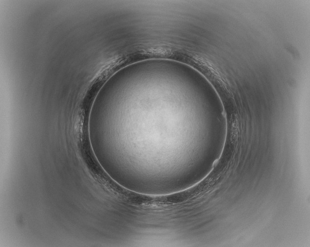 X0000116590739200912101539