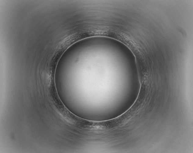 X0000116590741200912101539