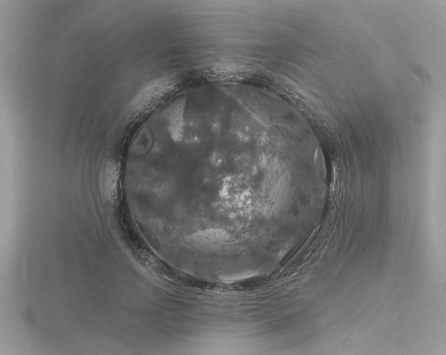 X0000116590742200912101539