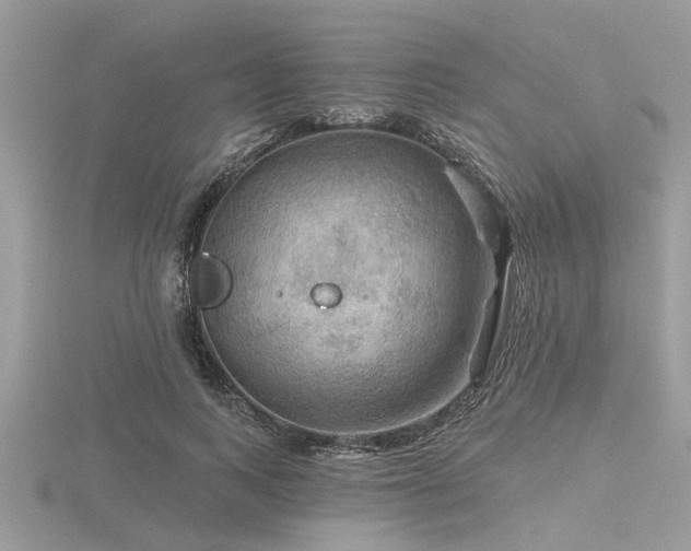 X0000116590743200912101539