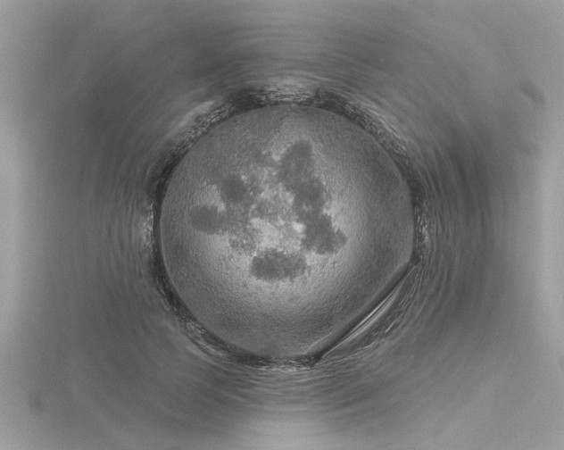 X0000116590745200912101539