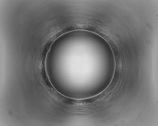 X0000116590746200912101539