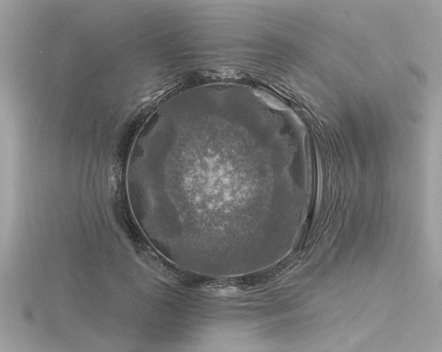 X0000116590747200912101539