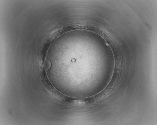 X0000116590749200912101539