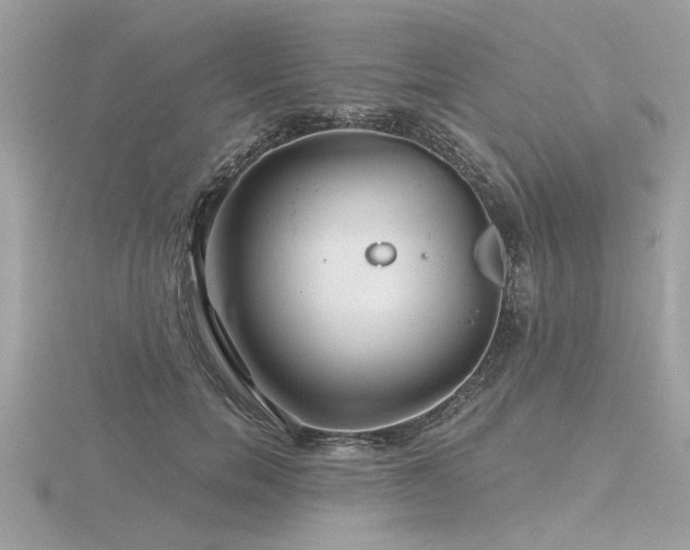 X0000116590750200912101539