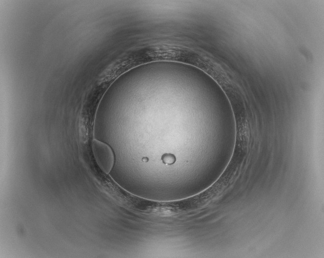 X0000116590751200912101539