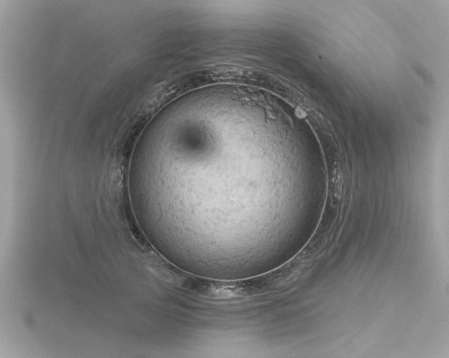 X0000116590753200912101539