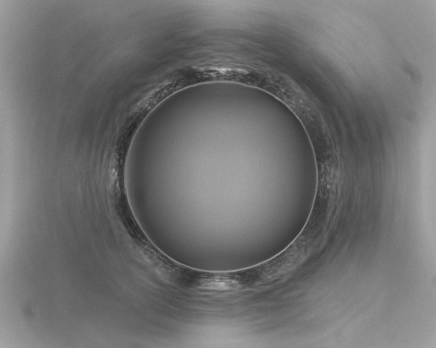 X0000116590754200912101539