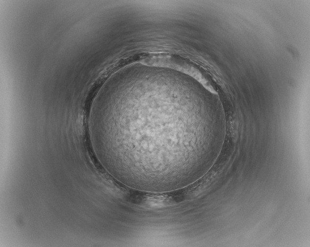 X0000116590757200912101539