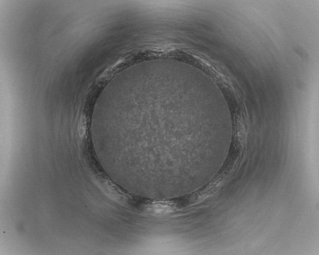 X0000116590758200912101539