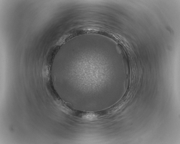 X0000116590759200912101539