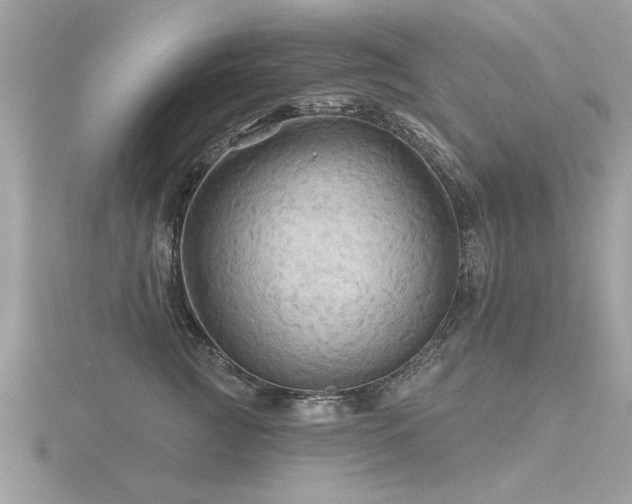 X0000116590761200912101539