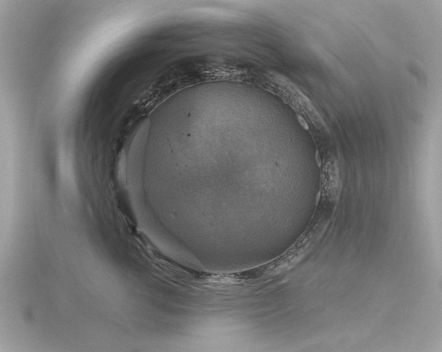 X0000116590762200912101539