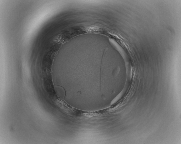 X0000116590763200912101539