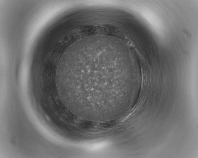 X0000116590765200912101539