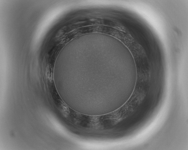 X0000116590766200912101539