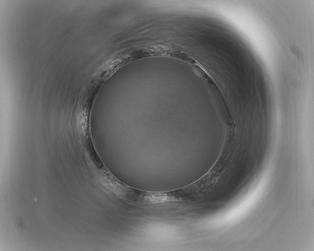 X0000116590767200912101539