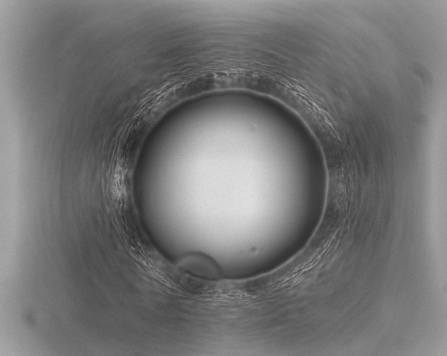 X0000116590770200912101538