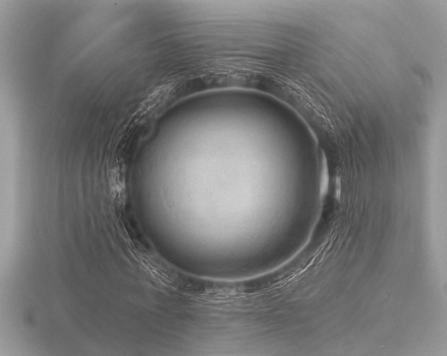 X0000116590771200912101538