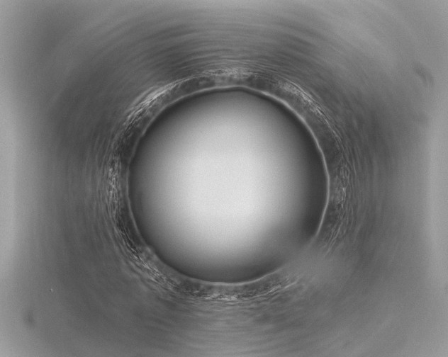 X0000116590773200912101538