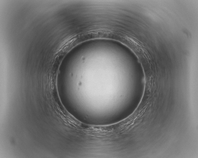 X0000116590774200912101538