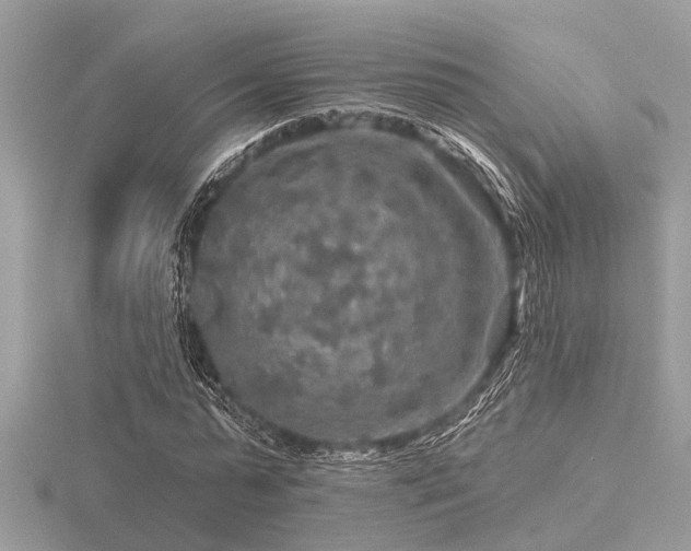 X0000116590775200912101538