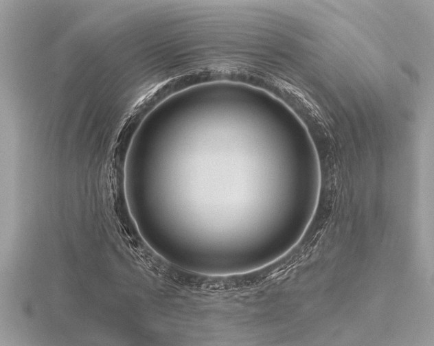 X0000116590776200912101538