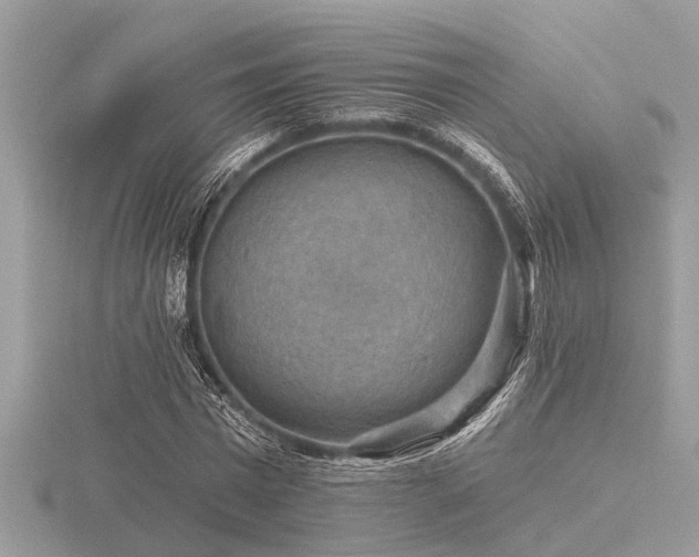 X0000116590777200912101538