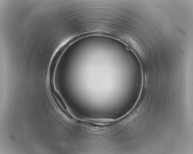 X0000116590780200912101538